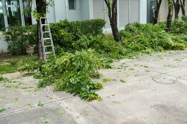 Best Tree Trimming and Pruning  in Cocoa Beach, FL